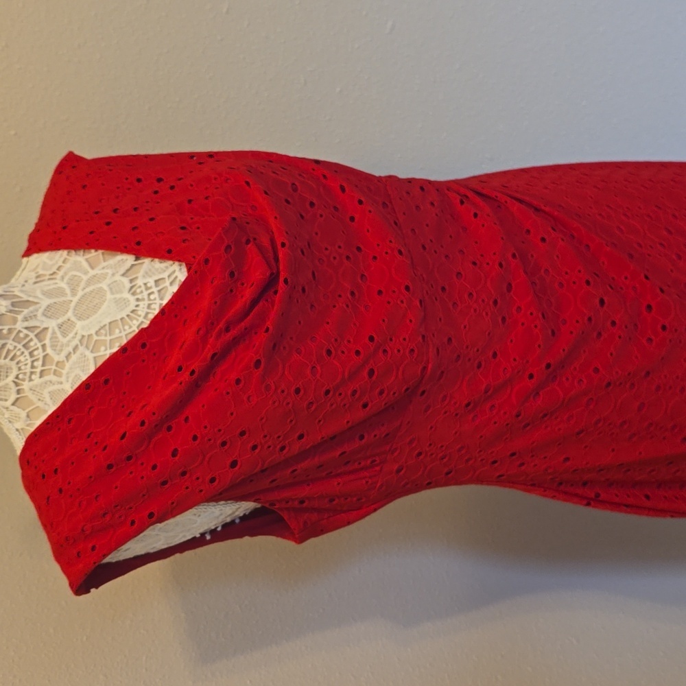 CONNECTED APPAREL Red Eyelet Lace Cowl Neck Sheath Dress